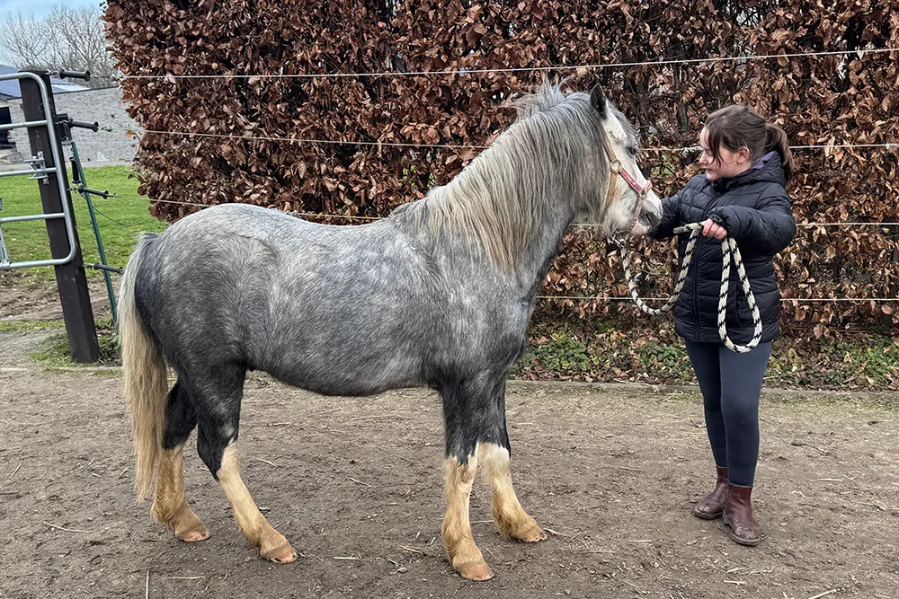 Nyrox - bester Kumpel von Toni
